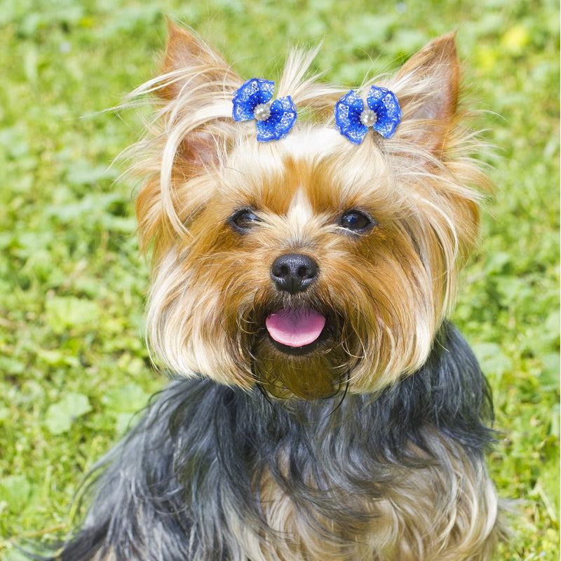 Reginary 300 Pcs Dog Bows Grooming Cute Dog Hair Bows Girl with Rubber Bands Small Puppy Bowknots Colorful Hair Accessories for Dogs Puppies Pets - BeesActive Australia