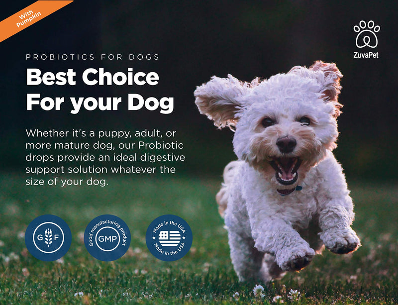 Probiotic for Dogs with Natural Digestive Enzymes. A Prebiotics + Digestive Enzyme Product for Dogs + Pumpkin. 120 Servings. Diarrhea & Upset Stomach Relief + Gas, Constipation, and Allergy Relief. - BeesActive Australia