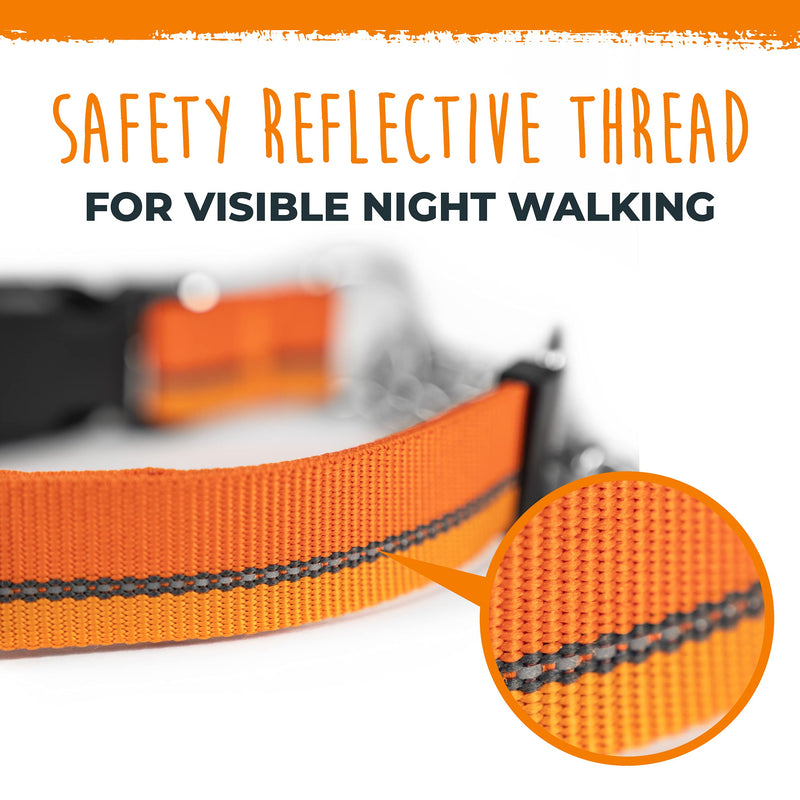 Mighty Paw Martingale Dog Collar 2.0 | Trainer Approved Limited Slip Collar with Stainless Steel Chain & Heavy Duty Buckle. Modified Cinch Collar for Gentle & Effective Pet Training Medium Orange - BeesActive Australia
