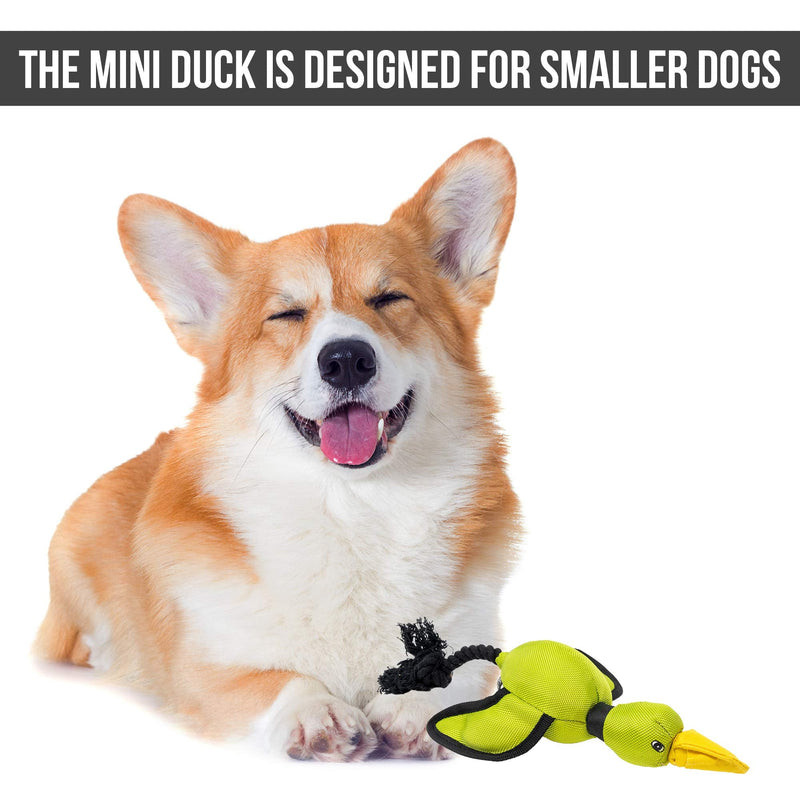 Hyper Pet Flying Series Slingshot Interactive Dog Toys (Dog Toys for Large Dogs, Great Alternative to Dog Ball & Dog Frisbee) [Floats in Water Perfect for the Beach, Lake or Pool] Mini Duck - BeesActive Australia