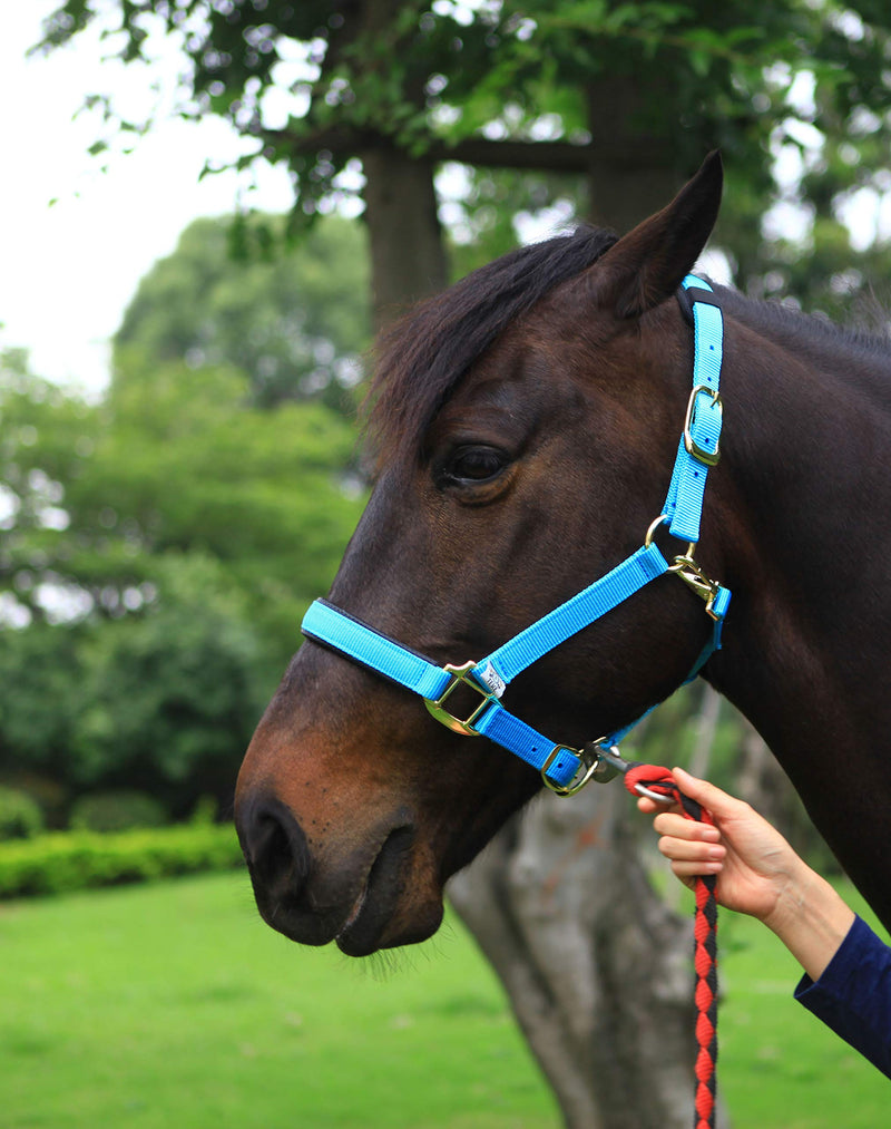 T TEKE Adjustable Horse Halters by Heavy Duty Soft Nylon, Padded with Anti-rubbing Waffle Neoprene on Both Crown & Nose Pink Cob (M) - BeesActive Australia