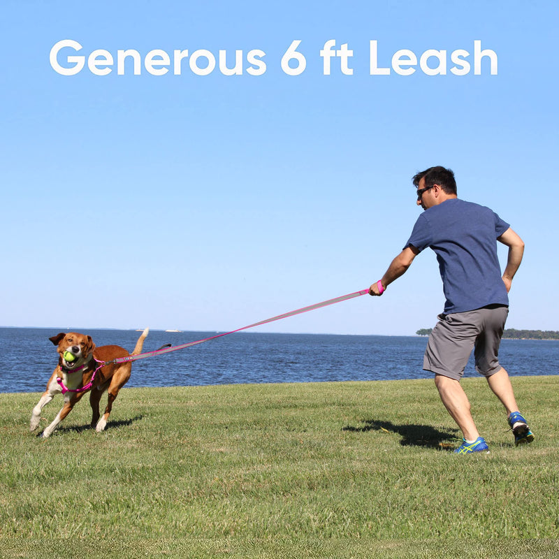 Pawtitas Double Handle Dog Leash Heavy Duty for Training No Pull Leashes Ideal for Medium and Large Dogs| Great for Walking, Running & Training Black - BeesActive Australia