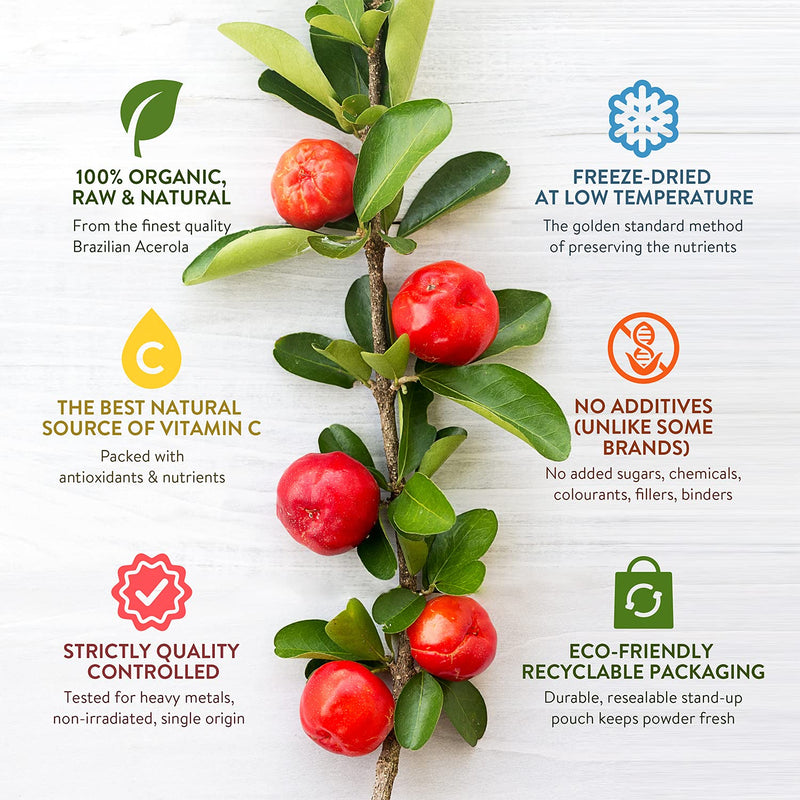 300g Organic Acerola Cherry Powder Freeze-Dried 100% Natural Vitamin C Raw Extract Food Supplement Immune System Booster Vegan Gluten-Free Superfood Ascorbic Acid Alternative No Additives Non-GMO - BeesActive Australia
