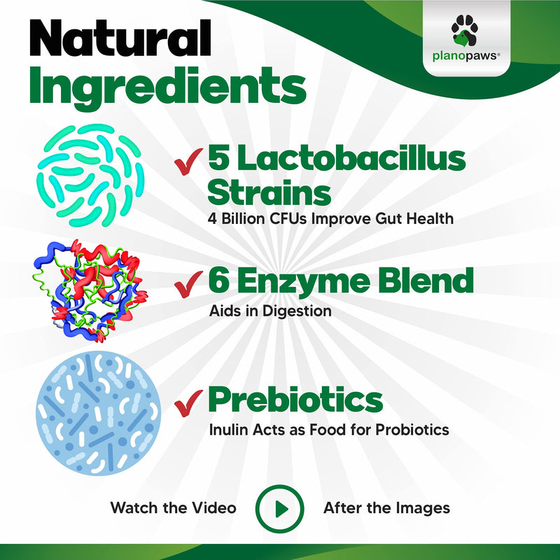 Tummy Treats - Probiotics for Dogs - All Natural Dog Probiotics and Digestive Enzymes - Allergy Relief for Dogs - 120 Dog Breath Treats - Dog Allergy Chews - Fiber for Dogs - Safe Dog Breath Freshener - BeesActive Australia