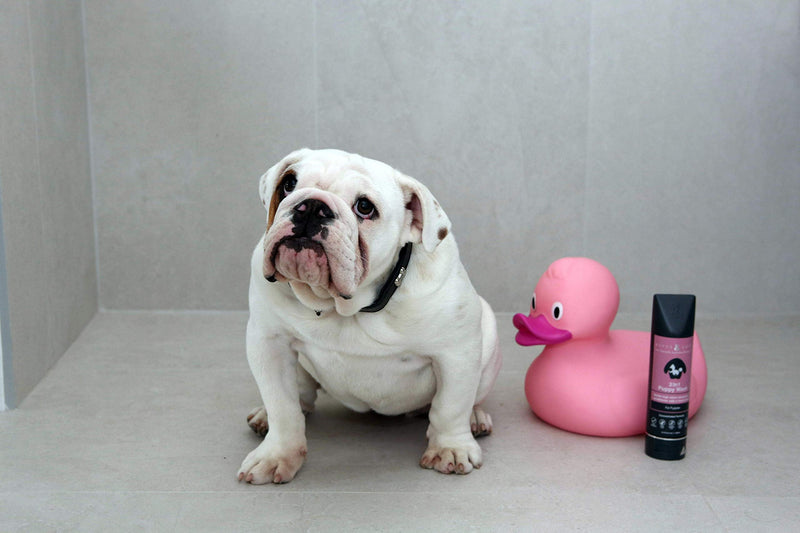 Rufus & Coco New Natural Dog and Puppy Shampoo and Conditioner | Sulfate & Paraben Free | pH Balanced, Hypoallergenic Fresh Fragrance | Safe for Cats and Dogs Puppies - BeesActive Australia