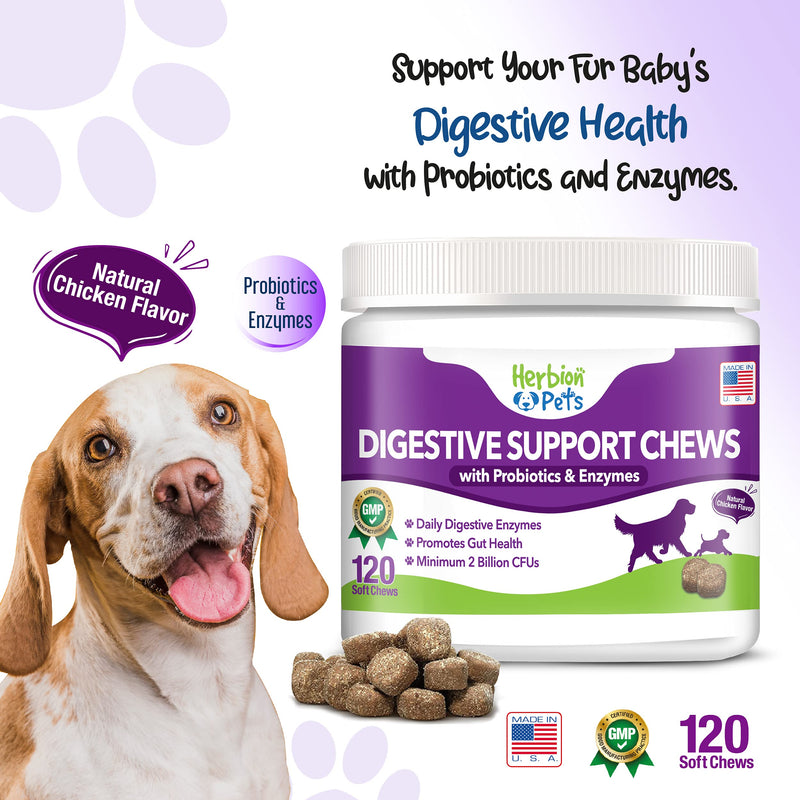 Herbion Pets Digestive Support Chews with Probiotics and Enzymes, 120 Soft Chews - with Daily Digestive Enzymes - for Improved Gut Health - Minimum 2 Billion CFUs - Made in USA - for Dogs 12 Weeks+ - BeesActive Australia
