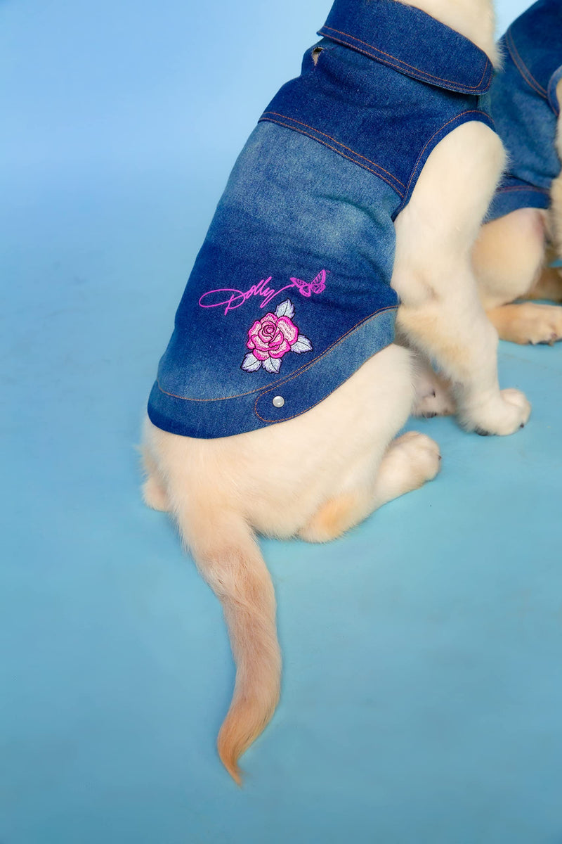 Doggy Parton Apparel and Accessories Medium Blue - BeesActive Australia