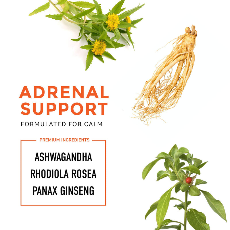 Adrenal Support & Cortisol Manager, Natural Adrenal Health with Ashwagandha Extract, Rhodiola Rosea, L-Tyrosine, Adaptogens, Stress Relief & Adrenal Fatigue Supplement, 60 Capsules - BeesActive Australia