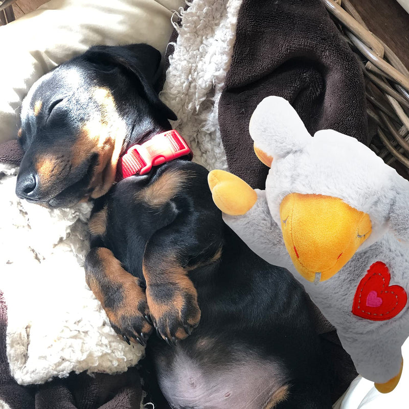 ALL FOR PAWS Heart Beat Dog Toy, Puppy Sleeping Buddy Cuddle Toy Dog Soothing Plush Toy, Puppy Stuffed Animal Toys Heart Beat Sheep Grey - BeesActive Australia