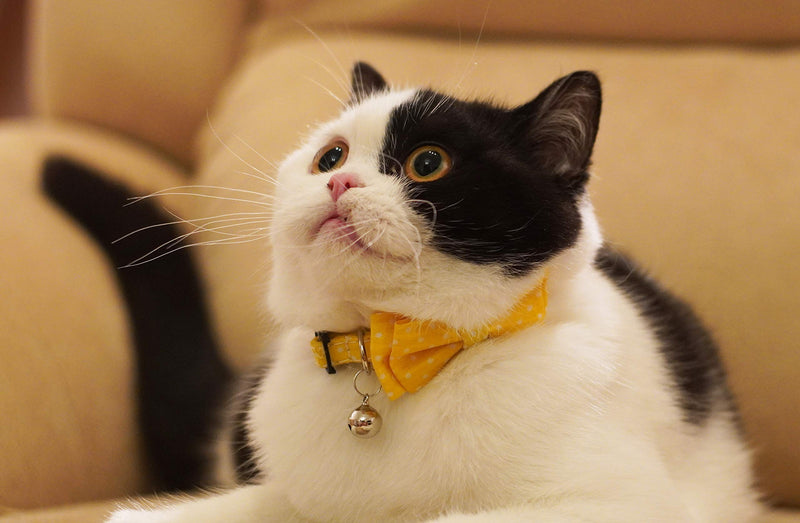 Gyapet Cat Collar with Bowtie Bell Safety Buckle Breakaway Kitten Puppy 7-11in Movable Adjustable 2 Yellow Dot - BeesActive Australia