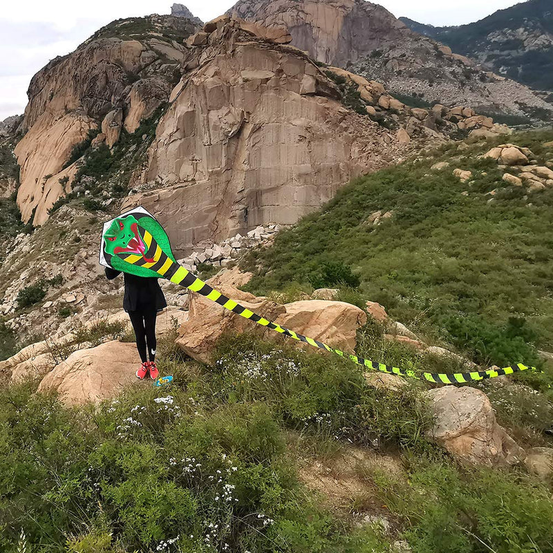 [AUSTRALIA] - Large Cobra Kite for Adults Kids Boys with Super Long Tail (49 ft), Extra Easy to fly, Best Huge Kites for the Beach/Kite Party/Field/Park, It Will Dominate the Sky! 