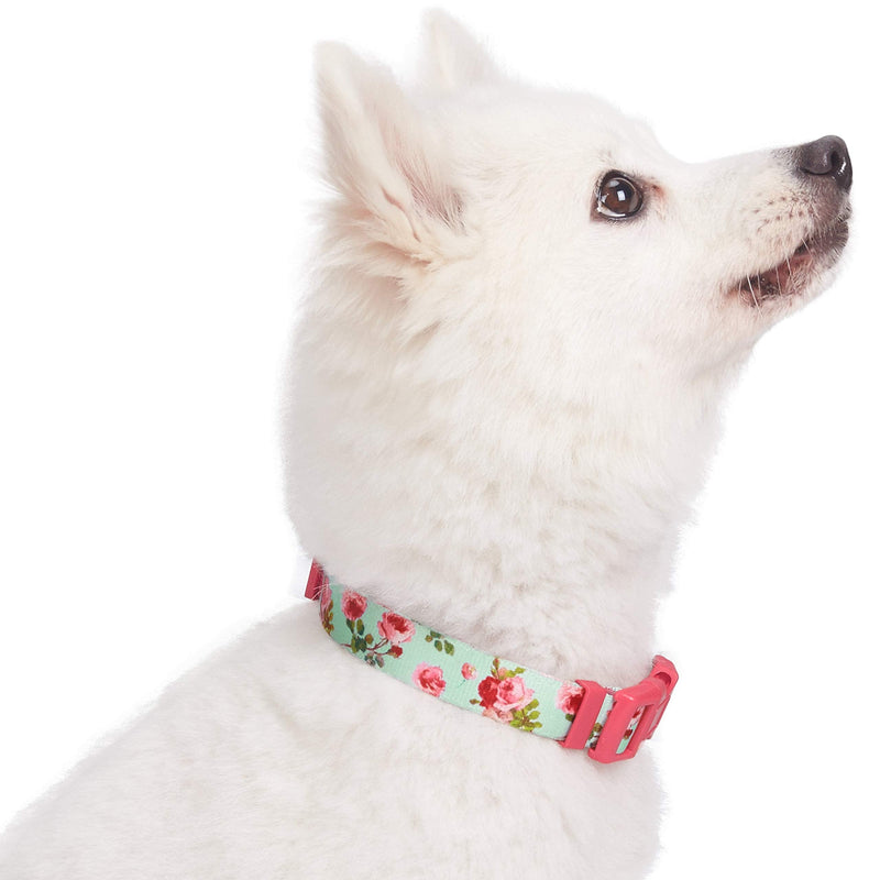 Blueberry Pet 10+ Patterns Spring Scent Floral Dog Collars, Personalized Collars X-Small Turquoise - BeesActive Australia