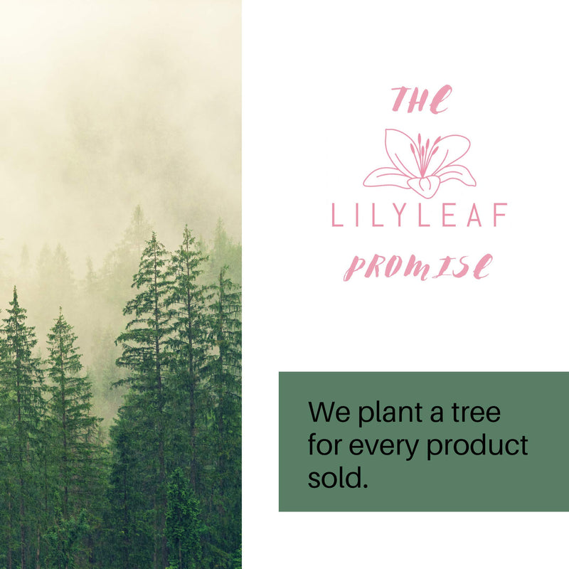 LilyLeaf Professional Makeup Palette for Foundation, Eyeshadow, Cremes, Powders and Cosmetics - Transparent Acrylic and Ergonomic Handle for Mixing, Blending or Contouring - With Organza Storage Bag - BeesActive Australia