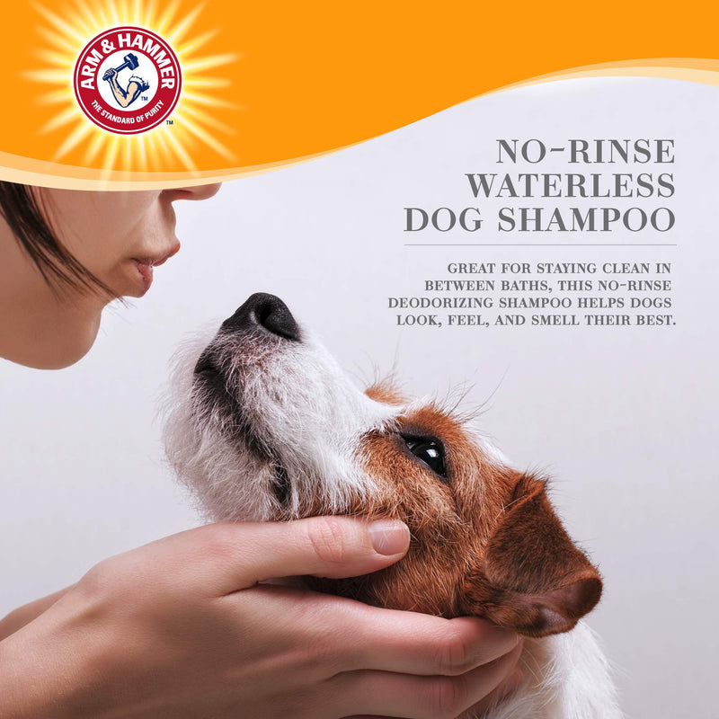 Arm & Hammer Ultra Fresh No Rinse Deodorizing Foam for Dogs, Juniper Mist, 8 Oz | Waterless Dog Shampoo | Baking Soda Neutralizes Bad Odors for an Advanced Clean No-Rinse Deodorizing Foam for Dogs - BeesActive Australia