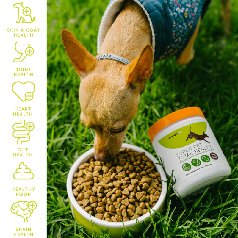 Meaningful Tree Prebiotics for Dogs - Gut Health Superpowder - Vet Approved, Supports Digestive Health & Diarrhea - Made in The USA with Only Two All-Natural Ingredients - BeesActive Australia