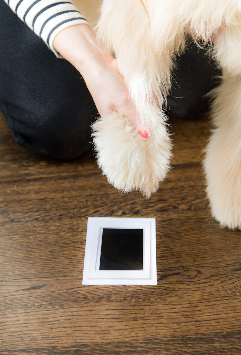 Kate & Milo Clean Touch Ink Pad, No Touch Ink Pad for Dog or Cat Paw Print, Pet Owner Keepsakes, Pawprint Makers, Black Ink - BeesActive Australia