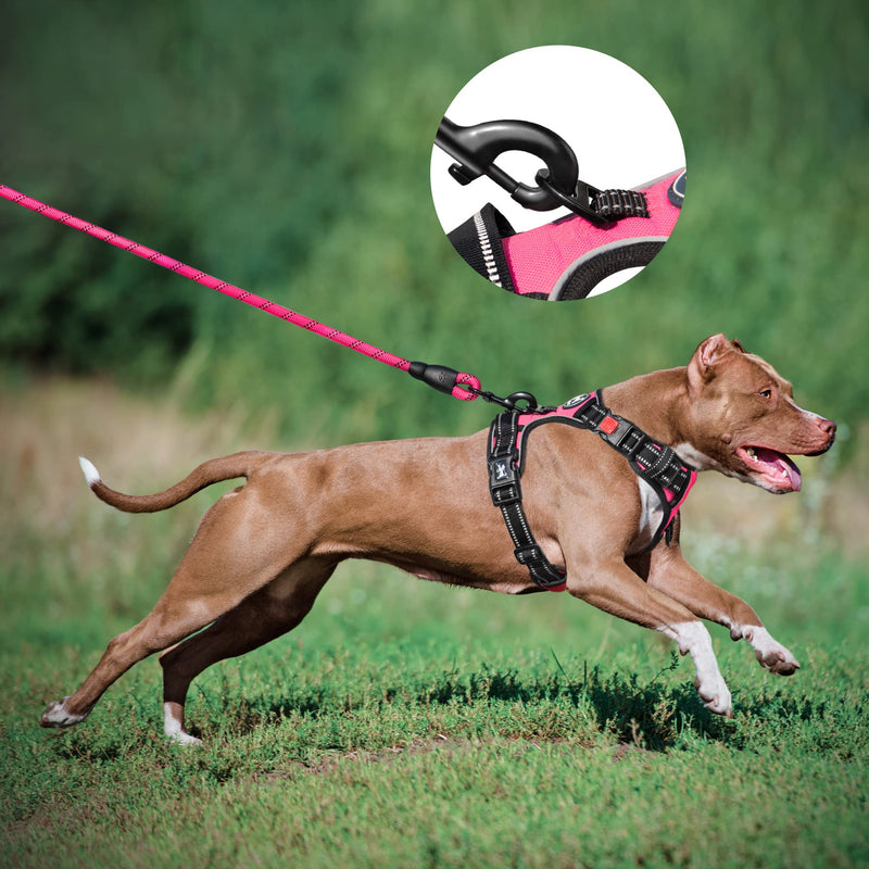 PoyPet Dog Harness and Leash Combo, Escape Proof No Pull Vest Harness, Reflective Adjustable Soft Padded Pet Harness with Handle for Small to Large Dogs Medium Pink - BeesActive Australia