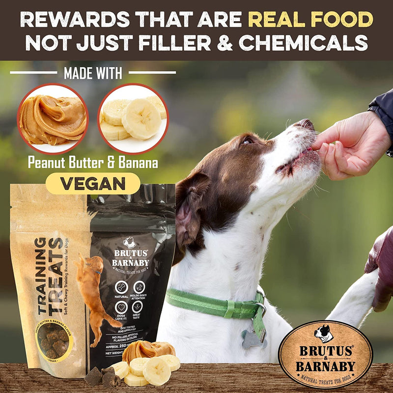 BRUTUS & BARNABY Training Treats for Dogs - Peanut Butter & Banana - All-Natural Healthy Low Calorie Vegan Treat - Great to Use for Rewards in Training Your Puppy Or Dog 1 Pound (Pack of 1) - BeesActive Australia