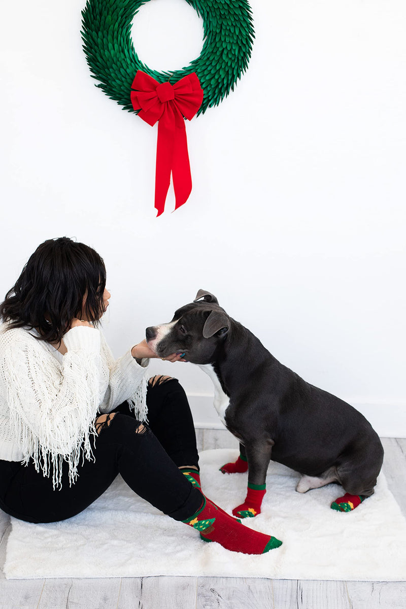 Pearhead Matching Human and Dog Apparel, Christmas Socks Set for dog and Owner, Green and Red Christmas Tree Dog Socks and Adult Socks Christmas Tree Human & Dog Sock Set - BeesActive Australia