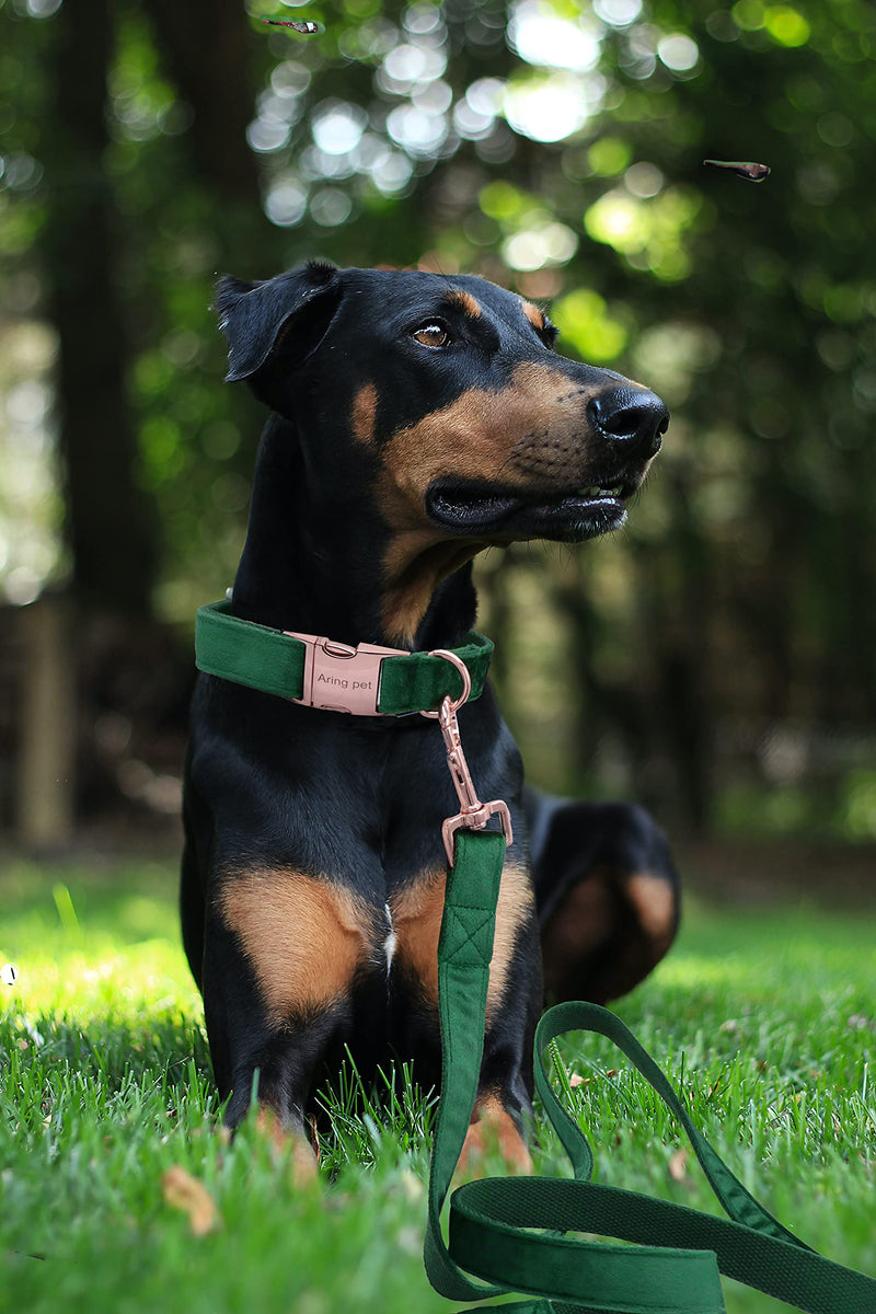 ARING PET Velvet Dog Collar and Leash Set, Soft Dog Collar and Leash, Adjustable Collars for Dogs S (Pack of 1) Dark green - BeesActive Australia