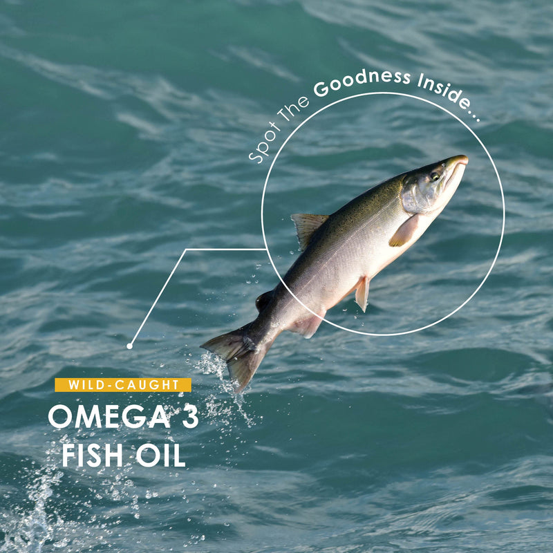 Omega 3 Fish Oil 2000mg Capsules | Wild Caught Marine | 1000mg per Capsule 660mg EPA 440mg DHA | Extra Strength Food Supplement | Halal. 90 Softgels (45 Day Supply) 90 Count (Pack of 1) - BeesActive Australia