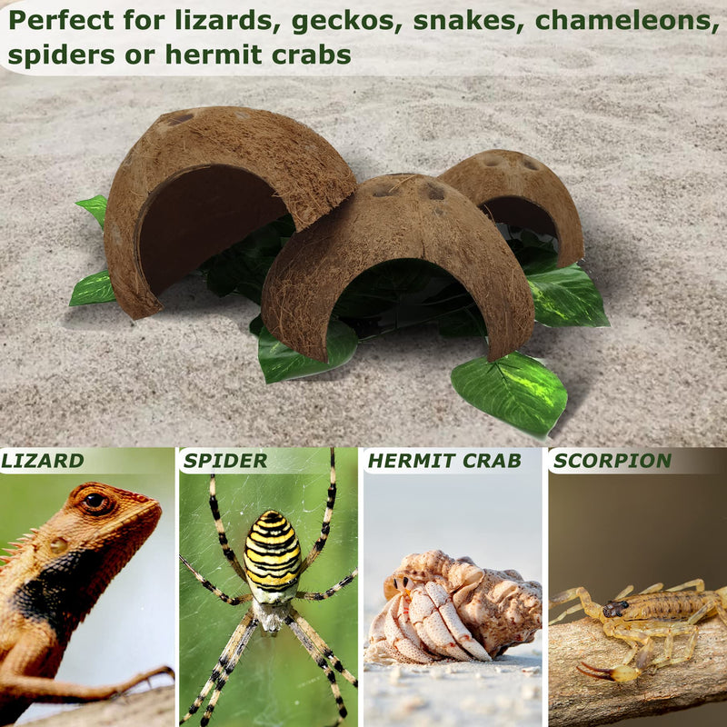 Hamiledyi Reptile Hideouts Natural Coconut Shells Hut Small Animal Hide Cave Hermit Crab Climbing Toys Lizard Habitat Decor Plant Leaves Decoration for Gecko Spider Snake Chameleon (4Pcs) - BeesActive Australia