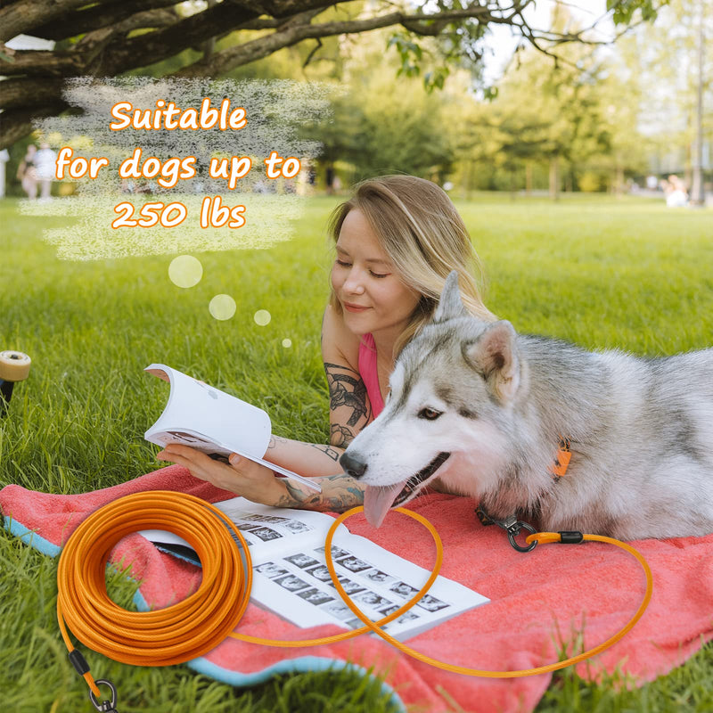 Tie Out Cable for Dogs,10/20/30/ 50FT Long Dog Leash ,Dog Runner for Yard Heavy Duty, Dog Chains for Outside, Sturdy Long Line Lead for Dogs Training Outdoor in Camping or Yard 30ft Orange - BeesActive Australia