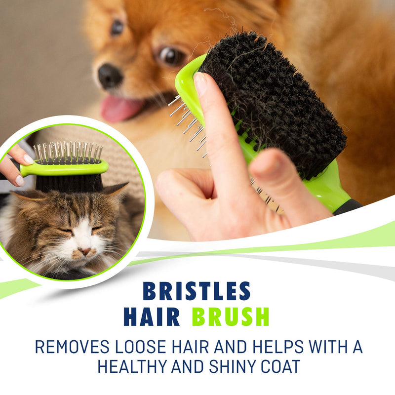 Rexipets Dog & Cat Brush & Comb Pet Grooming Set - Double Side (Small) - Ultimate Deshedding Tool - Lice And Flea Removing - Perfect Groomer's Tools - Strong Grip And Soft Bristles Small - BeesActive Australia