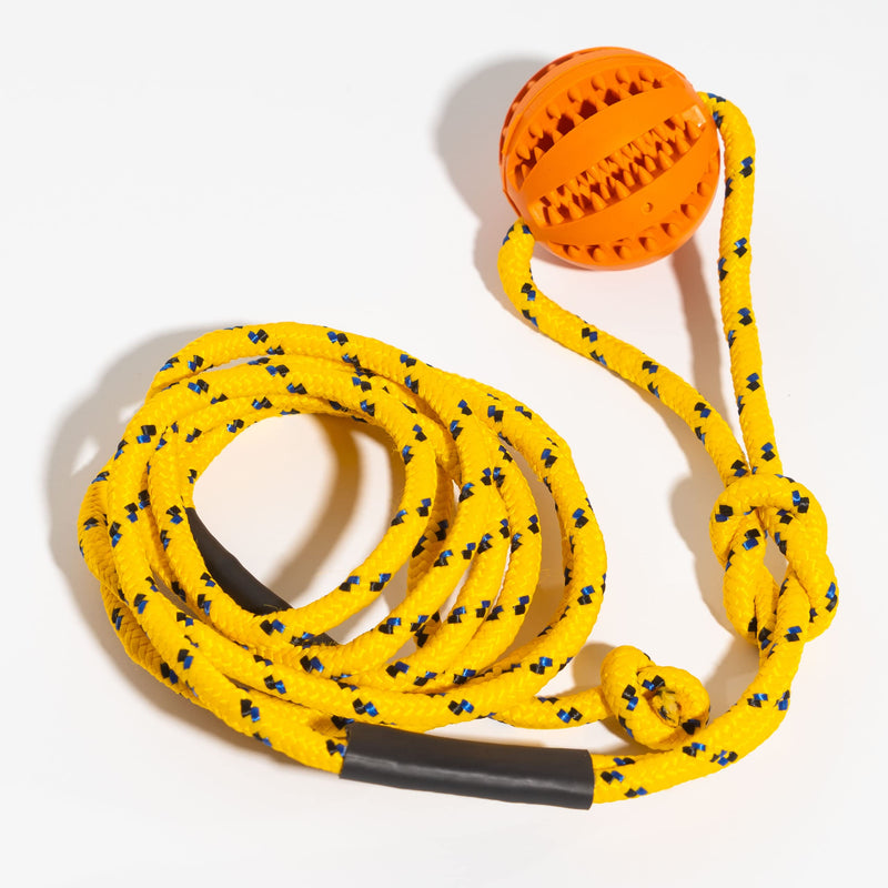 Runball Outdoor Rope and Ball Dog Toy for Dog Training, Exercise, Agility, Chase, Pull, and Tug of War, 10 ft Rope, 2.75 Inches Durable Rubber Orange Ball, for Medium and Large Dogs - BeesActive Australia