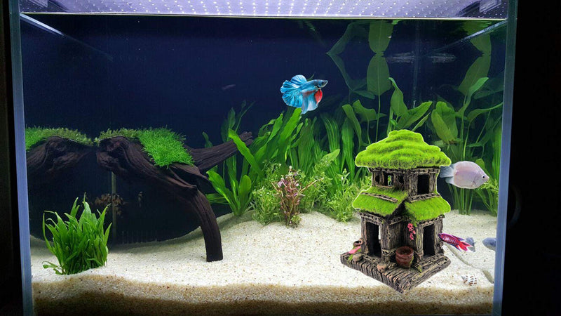 M2cbridge Aquarium Decorations Fish Hideout House Betta Cave with Green Lifelike Moss (Style 3) Style 3 - BeesActive Australia