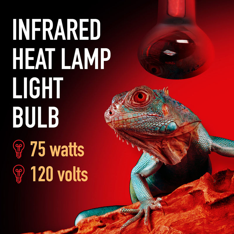 [2-Pack]‌ ‌75‌ ‌Watt‌ ‌Infrared‌ ‌Heat‌ ‌Lamp Bulb‌ ‌for‌ ‌Reptiles‌ ‌-‌ ‌‌ Keeps‌ ‌Your‌ ‌Animals‌ ‌Warm‌ ‌-‌ ‌Red‌ ‌Heat‌ ‌Lamp‌ ‌Bulb‌ ‌Compatible‌ ‌with‌ ‌a‌ ‌Variety‌ ‌of‌ ‌Enclosures‌ - BeesActive Australia