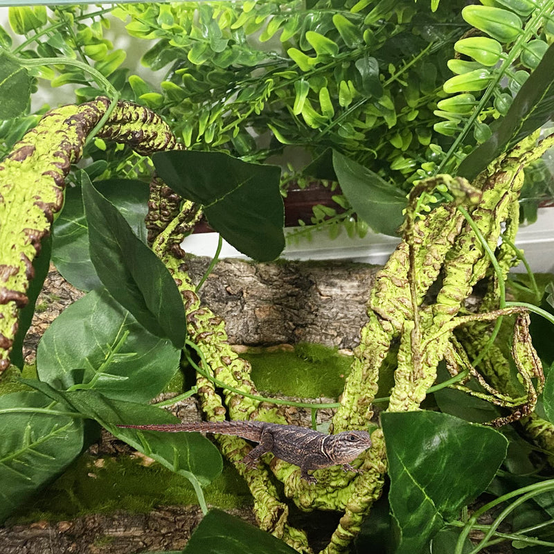 Reptile Plants Bearded Dragon Bendable Jungle Climbing Vines Terrarium Branches Flexible Hanging Tank Accessories Decors Pet Habitat Decoration for Lizard Gecko Frog Snake - BeesActive Australia