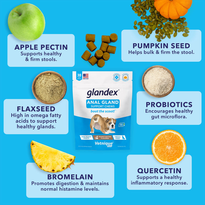 Glandex 30ct Peanut Butter Anal Gland Soft Chews with Glandex 75ct Pet Wipes Bundle by Vetnique Labs - BeesActive Australia