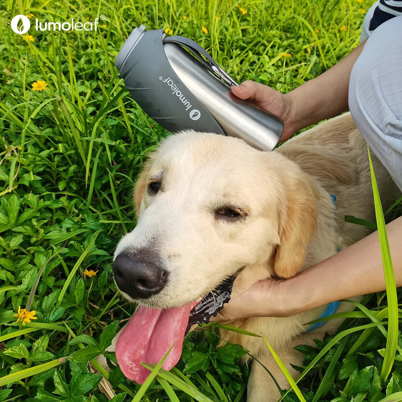 LumoLeaf Portable Dog Water Bottle 27 OZ, Stainless Steel Pet Travel Water Bottle Dispenser for Walking, Hiking and Outdoor, Portable Water Bowl for Large Dogs Grey - BeesActive Australia