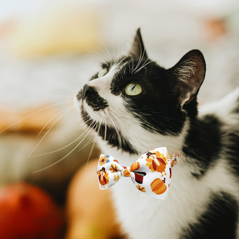 Pohshido 2 Pack Thanksgiving Cat Collar with Removable Bow Tie and Bell, Holiday Safety Breakaway Kitty Kitten Collar with Turkey and Pumpkin Spice Pattern(Adjustable Size from 7.8-12.8 inch) Pattern C - BeesActive Australia