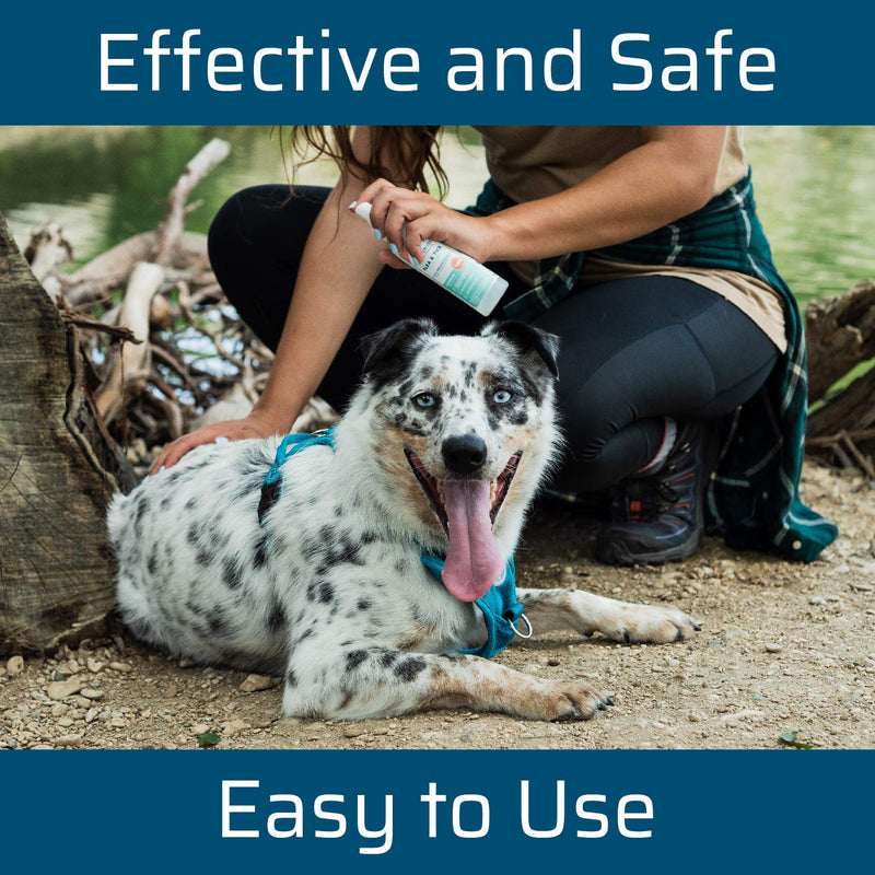 Wondercide - Flea, Tick and Mosquito Spray for Dogs, Cats, and Home - Flea and Tick Killer, Control, Prevention, Treatment - with Natural Essential Oils - Powered by Plants - Pet and Family Safe - 4 oz 2-Pack Cedarwood & Lemongrass - BeesActive Australia
