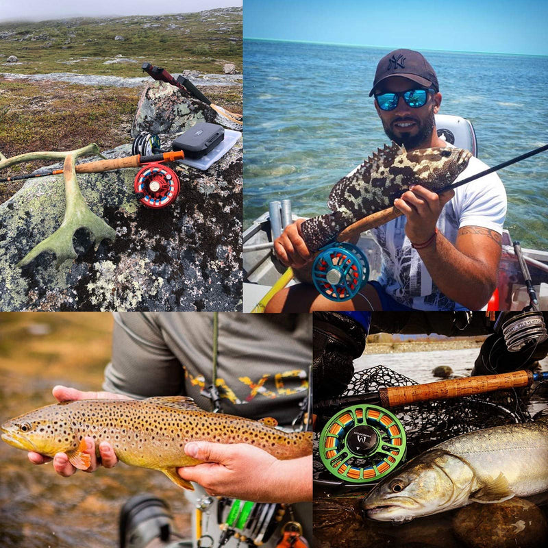 M MAXIMUMCATCH Maxcatch Waterproof Fly Box For Fly Fishing Streamer Flies Swing Leaf Center - BeesActive Australia