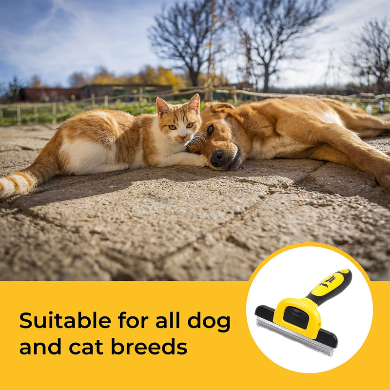 Thunderpaws Best Professional De-Shedding Tool and Pet Grooming Brush, D-Shedz for Breeds of Dogs, Cats with Short or Long Hair, Small, Medium and Large Yellow - BeesActive Australia