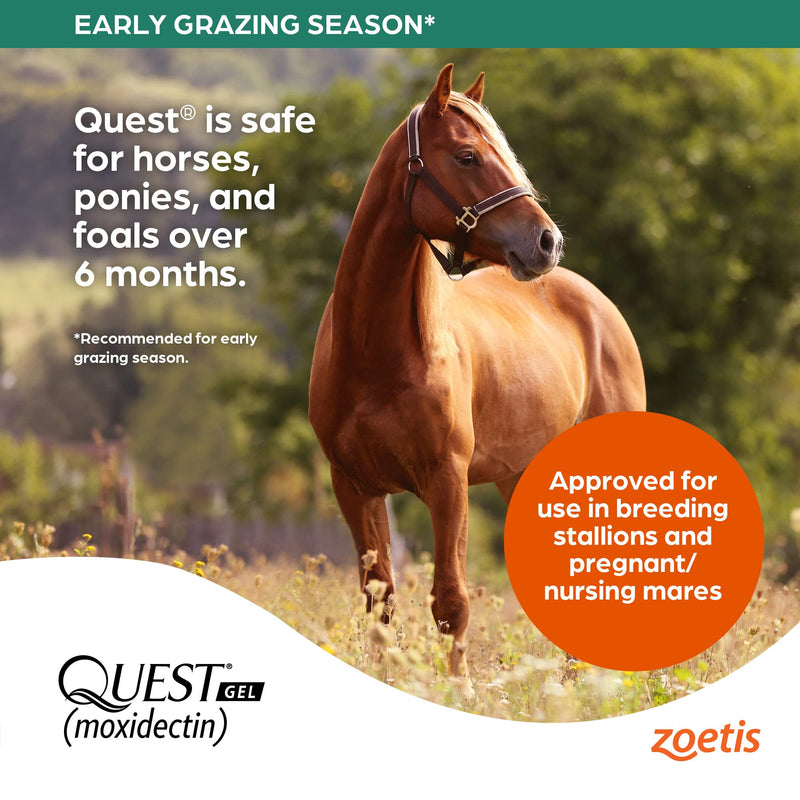 Zoetis Quest Gel 14.4gm - BeesActive Australia