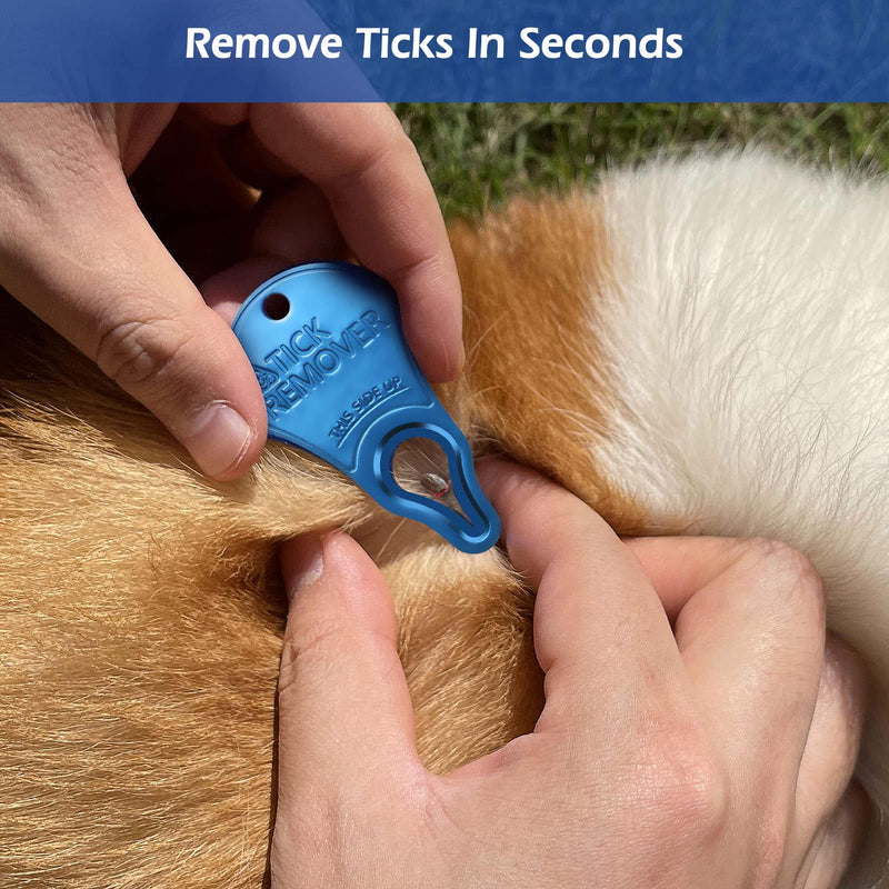 3 Pack Tick Remover Tool Portable, Tick Removal Tool for Pets, Humans and Animals, Safe and Portable, Pain-Free and Effective, Essential Tools for Outdoor Activities - BeesActive Australia