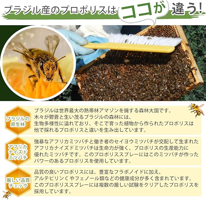 Propolis Spray, Developed in collaboration with Pharmaceutical Companies, Recommended by Management Nutritionists, Vitamin C, 0.7 fl oz (20 ml), Domestic Production - BeesActive Australia