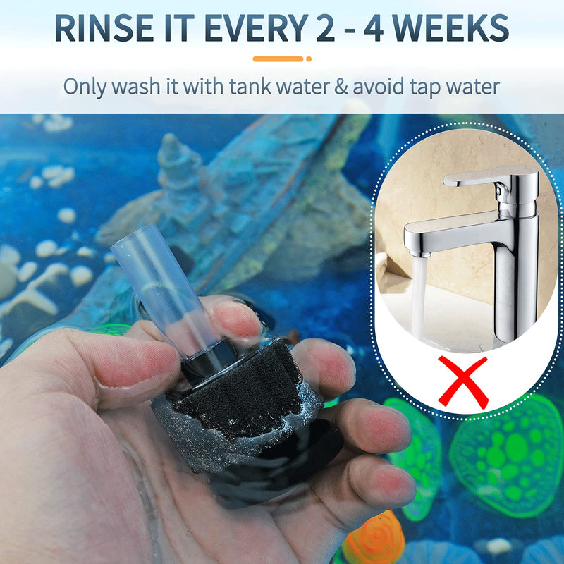 Pawfly Aquarium Bio Sponge Filter Quiet Fry Betta Shrimp Foam Filter Kit with Accessories for Fish Tank Up to 3 Gal - BeesActive Australia