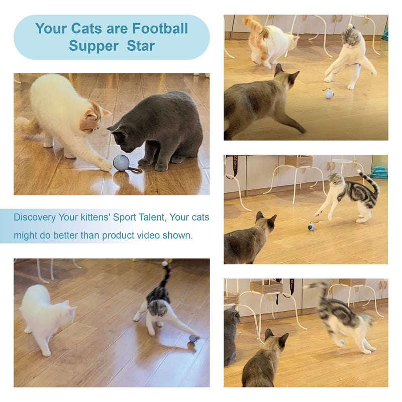Migipaws Cat Toys, Automatic Moving Ball Bundle Classic Mice + Feather Kitten Toys in Pack. DIY N in 1 Pets Smart Electric Teaser, USB Rechargeable (White) white - BeesActive Australia