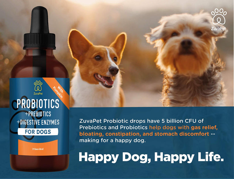 Probiotic for Dogs with Natural Digestive Enzymes. A Prebiotics + Digestive Enzyme Product for Dogs + Pumpkin. 120 Servings. Diarrhea & Upset Stomach Relief + Gas, Constipation, and Allergy Relief. - BeesActive Australia