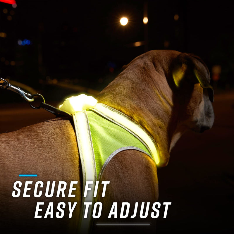 noxgear LightHound – Revolutionary Illuminated and Reflective Harness for Dogs Including Multicolored LED Fiber Optics (USB Rechargeable, Adjustable, Lightweight, Rainproof) Medium - BeesActive Australia