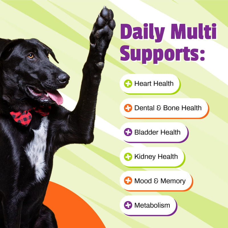 Pet Naturals Daily Multivitamin for Dogs - Yummy Chews with Amino Acids, and Antioxidants - Supports Energy, Metabolic Function and Pet Wellness 150 Chews - BeesActive Australia