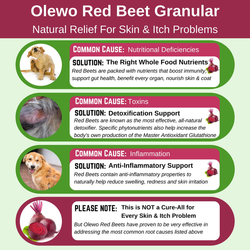 Olewo Red Beet Granular – Natural Immune Support - Anti Itch, Skin & Coat, Seasonal Allergies – Digestive Prebiotic Fiber 22 oz - BeesActive Australia