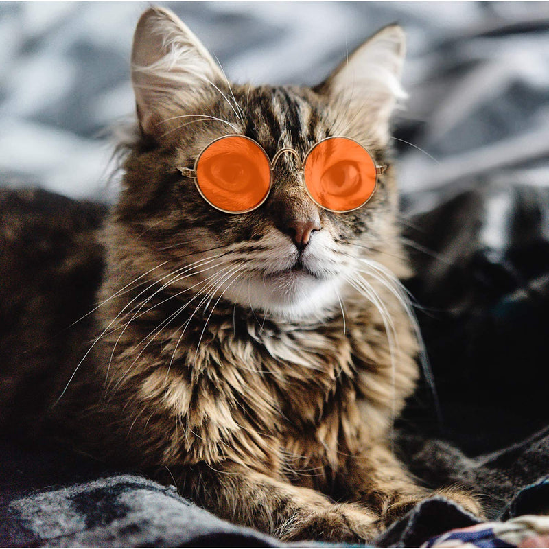 6 Pieces Funny Cute Cat Small Dog Sunglasses Classic Retro Circular Metal Prince Sunglasses Eye-wear Photos Props Accessories Cosplay Glasses (Mix Color) - BeesActive Australia