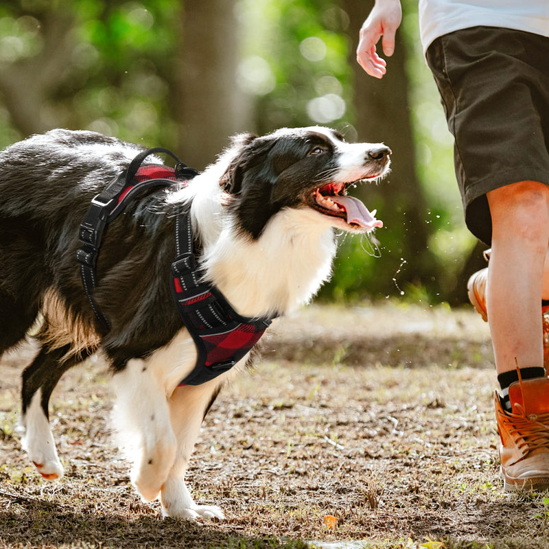 rabbitgoo Dog Harness for Large Dogs No Pull, Adjustable Dog Walking Vest Harness with 2 Leash Clips, Comfort Padded Pet Harness with Handle, Reflective Front Body Harness Buffalo Plaid (Red & Black) - BeesActive Australia