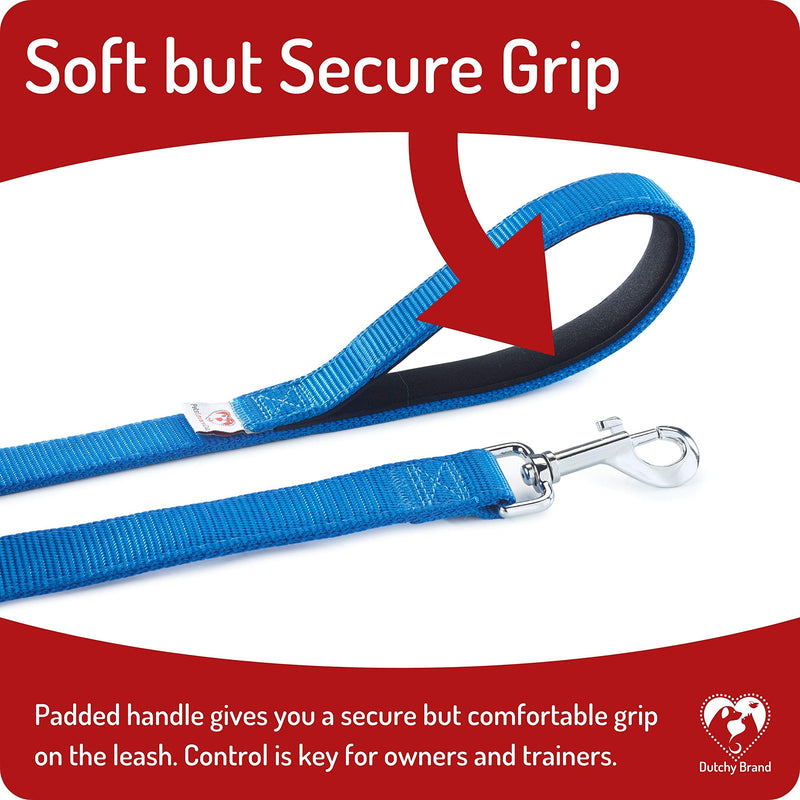 Dog Leash for Medium, Large and Small Dogs - 6 Foot Dog Leashes for Training and Daily Walks - Durable Sizes in Lightweight and Heavy Duty for Small and Large Breeds 2-Layer Blue - BeesActive Australia